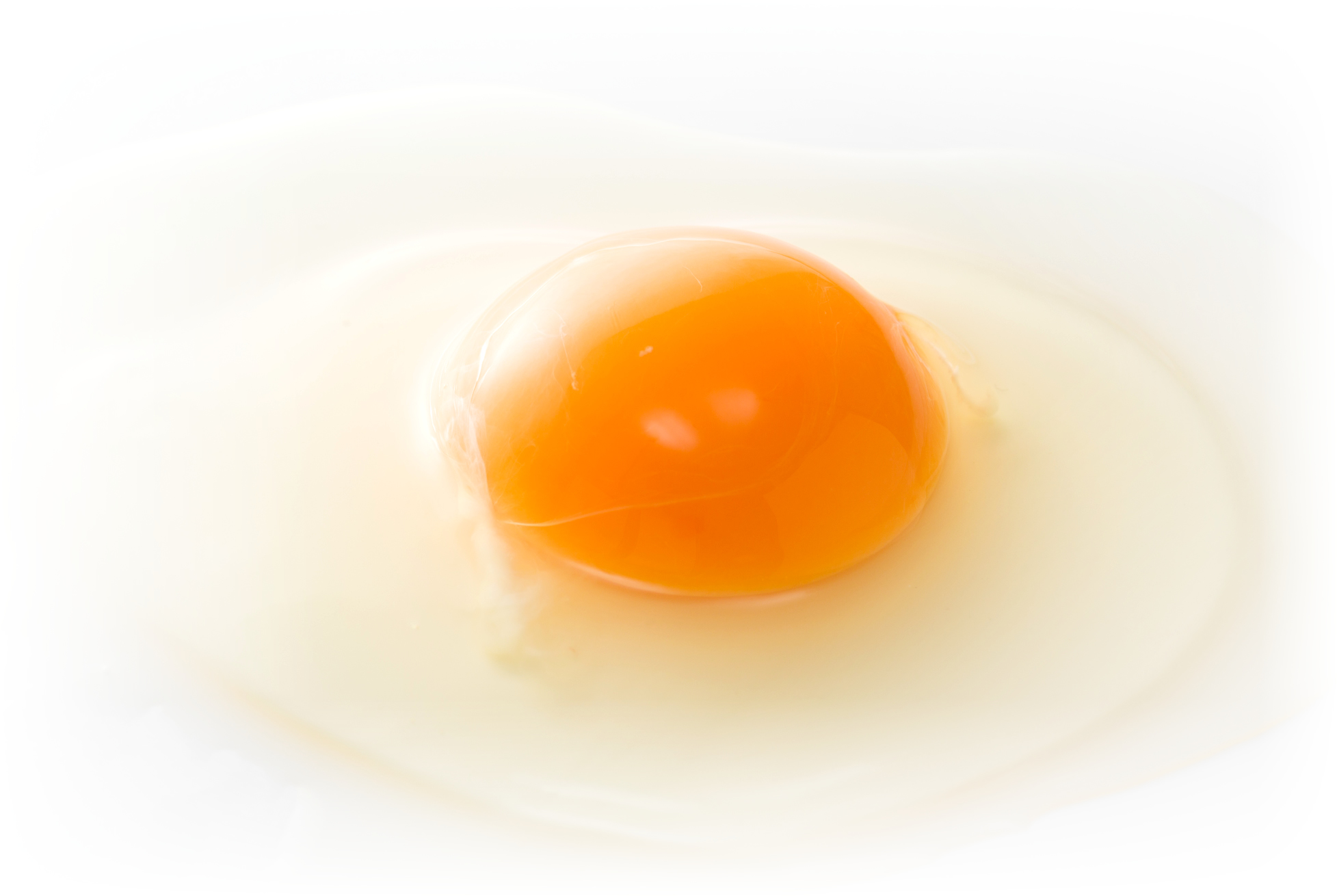 アルムの里 | 岡山でオーガニック卵を販売しているアルムの里の公式ページです。